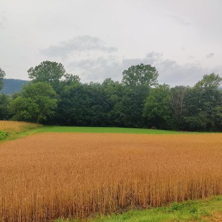 Agriturismo Munarin Caterina Mioglia Zewnętrze zdjęcie