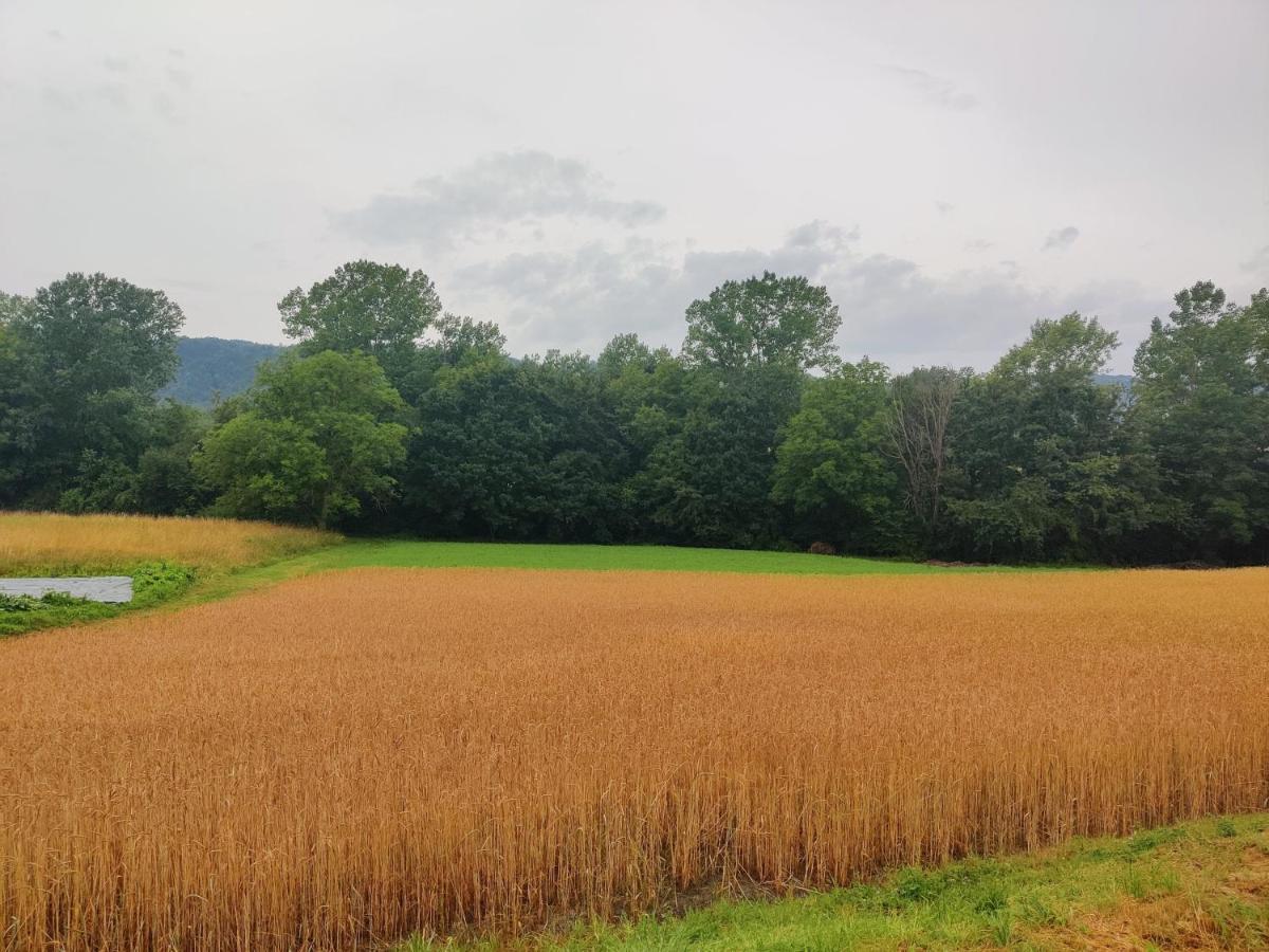 Agriturismo Munarin Caterina Mioglia Zewnętrze zdjęcie